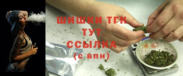 прущий лед Новозыбков