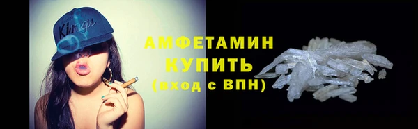 прущий лед Новозыбков