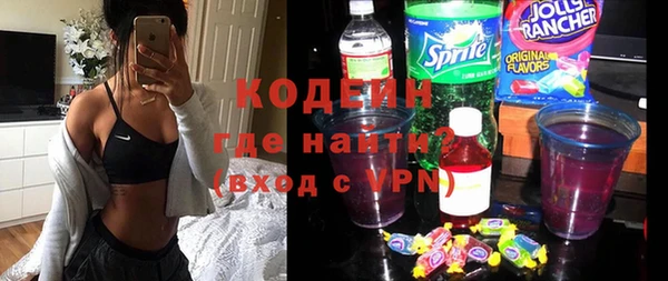 прущий лед Новозыбков