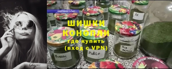 прущий лед Новозыбков