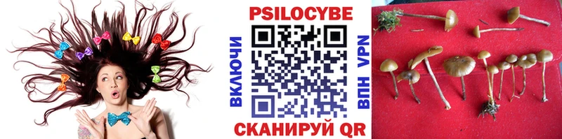 Галлюциногенные грибы GOLDEN TEACHER  Свободный 