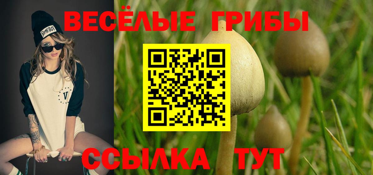 Свободный  Псилоцибиновые грибы Psilocybe  Псилоцибиновые грибы GOLDEN TEACHER  Вход с VPN 